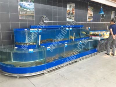 冰鮮魚池系列